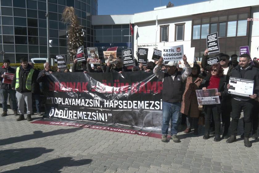 İzmir'de hayvan hakları savunucularından çağrı: 'Adalet mekanizmaları harekete geçmeli'