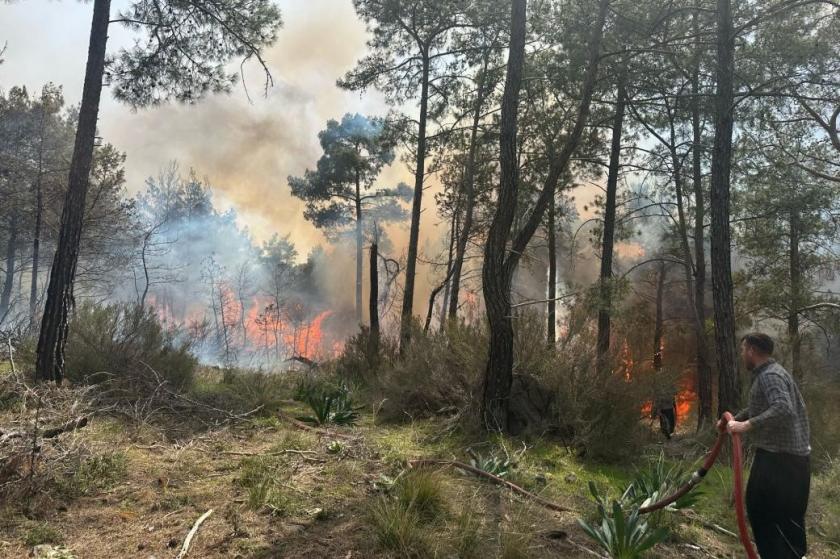 Kemer'deki orman yangınında 3 hektarlık alan zarar gördü