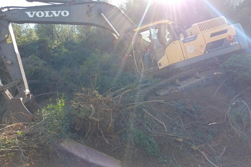 Çayırlı’da yol yapımı için ağaç katliamı yeniden başladı