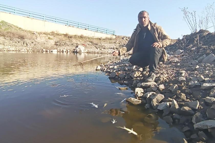 Rengi siyaha dönen Karasu Çayı'nda balık ölümleri yaşandı