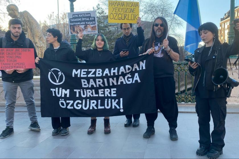 Hayvanları Koruma Kurulu kararına tepki: 'Bu yanlıştan derhal geri dönülsün'  