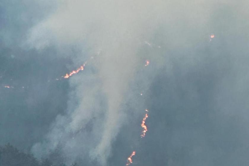 Balıkesir'in Sındırgı ilçesinde orman yangını