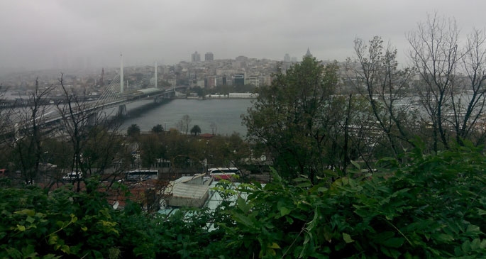 Süleymaniye'de saklı cennet: Botanik bahçesi