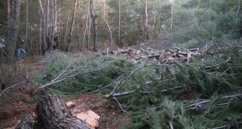 Urla Ovacık’ta yürütmeyi durdurma kararı