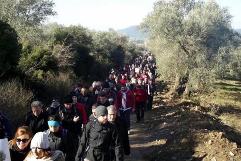 Danıştay osmancık üzümlerini kurtardı