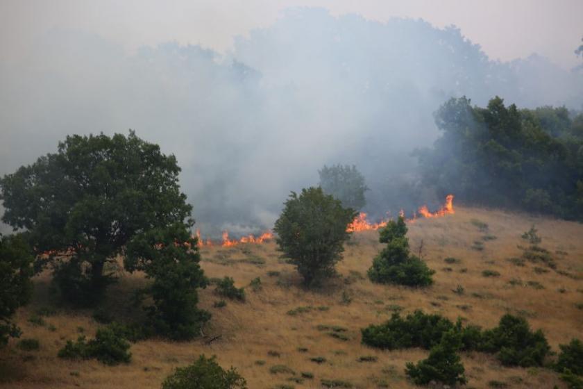 Dersim’de 2 gündür orman yangını devam ediyor