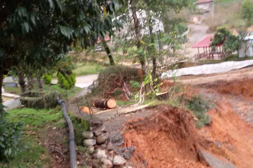 Arhavi'de yoğun yağış heyelan getirdi