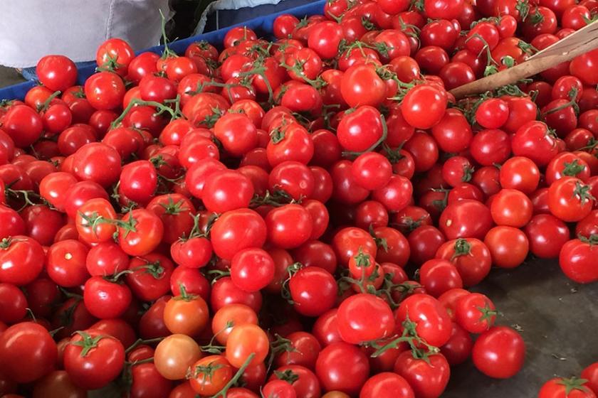 Torbalı’dan dünya pizzalarına kurutulmuş domates