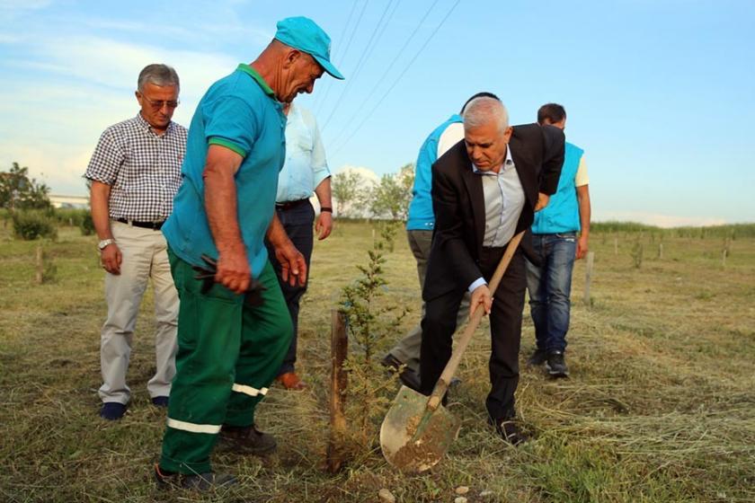 Bursa'da 'Gezi' anısına 530 fidan dikildi