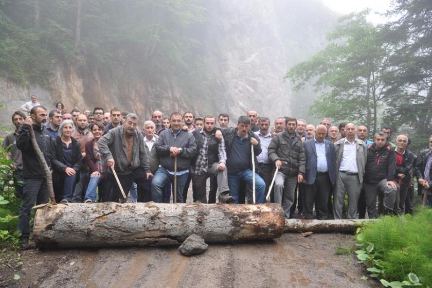 Hukuk yoksa kütük var...