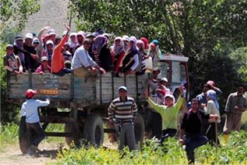 İSİG Meclisi: Devlet tarım işçilerinin ölümüne göz yumuyor