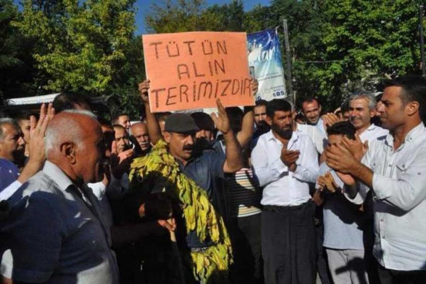 ‘Tütün yasası geçerse  halk işsizliğe mahkum olur’