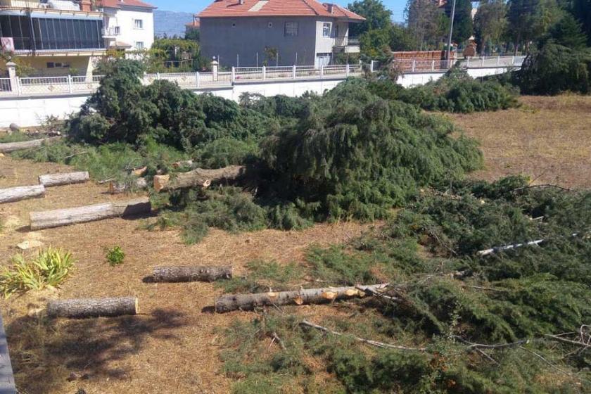 Meteoroloji ‘ölçümleri iyi yapma’ gerekçesiyle ağaç kesti