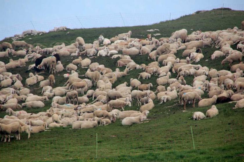 Markete ucuz et, üretimi düşürdü