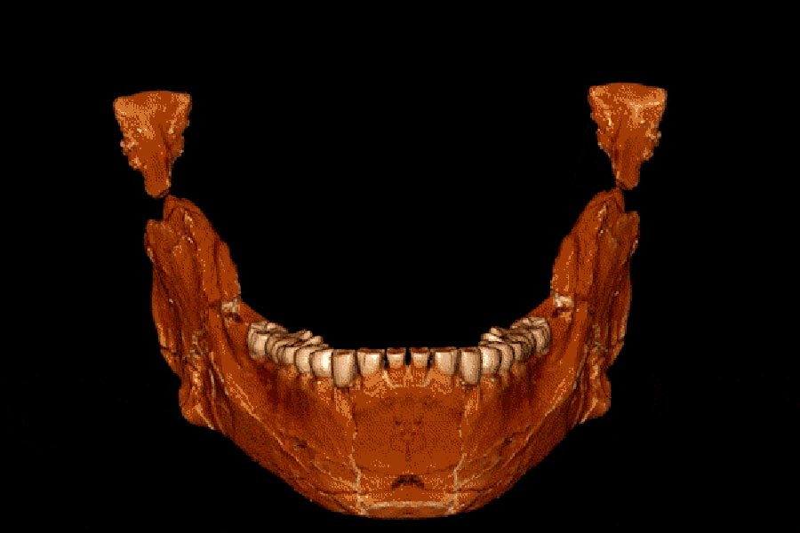 Bu mandibula (çene kemiği), Jebel Irhoud’ta keşfedilen ilk yetişkin mandibuladır. F: Jean-Jacques Hublin, MPI-EVA, Leipzig.