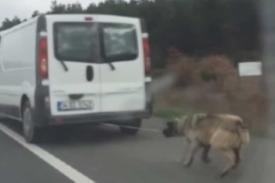 Köpeği, iple kamyonetin arkasına bağlayıp, sürükledi