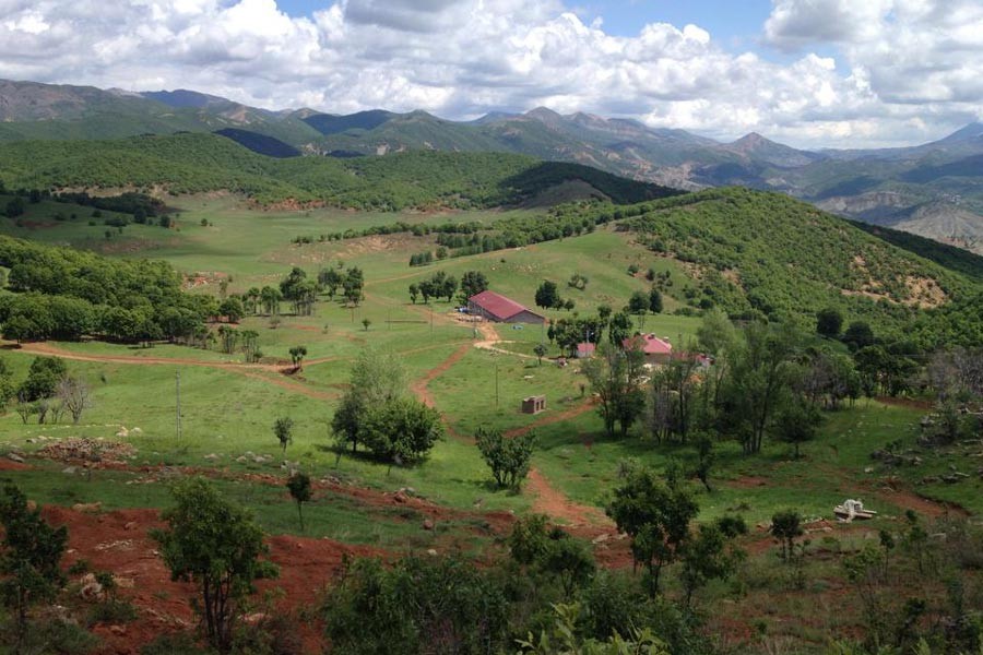 Dersim'de mantar toplayan köylü, mayın patlamasıyla ağır yaralandı