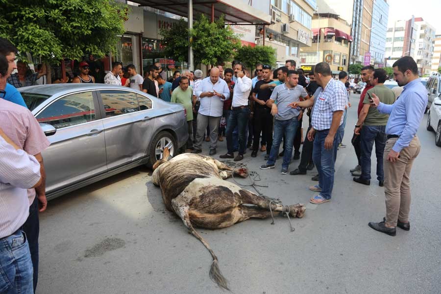 Samsun'dan sonra Hatay'da da angus firar etti