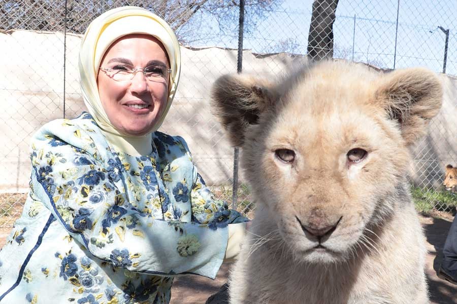 Emine Erdoğan, hayvanat bahçesinde 'yaban hayatı gözlemledi'