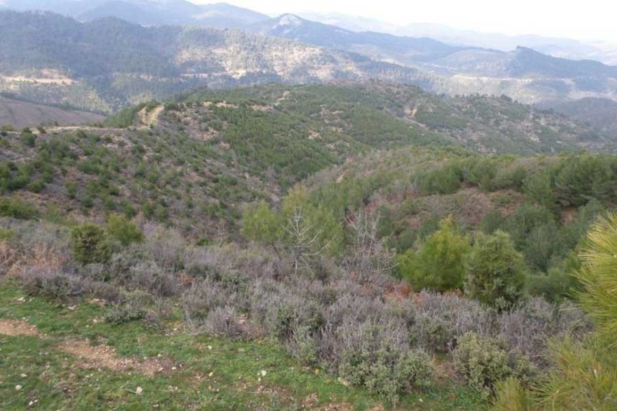 İptal edilen maden projesi, yeni adla sunulunca kabul edildi!