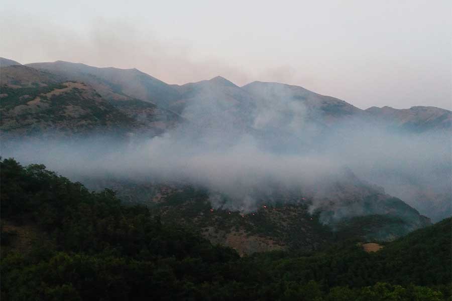 Dersim Mazgirt’te orman yangını