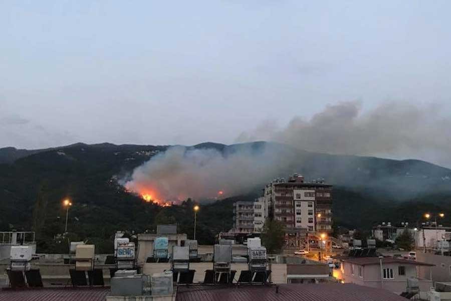 Hatay'da orman yangını: 10 hektarlık alan zarar gördü