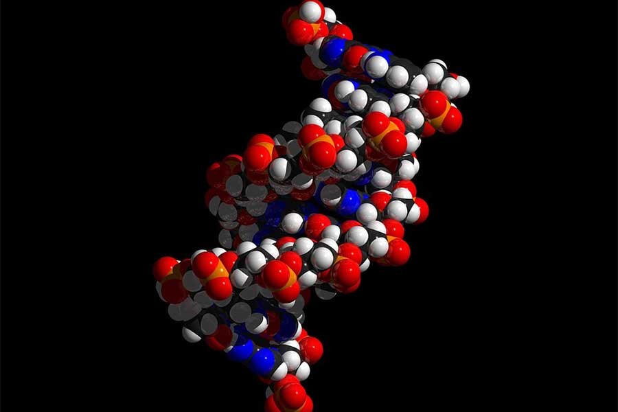 ‘Çocuklukta cinsel taciz, DNA’yı da yaralıyor’