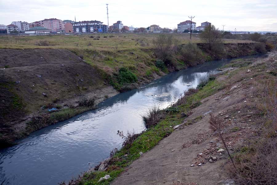 Tekirdağ'da Şahbaz Deresi'ne vidanjörle atık su bırakıldı