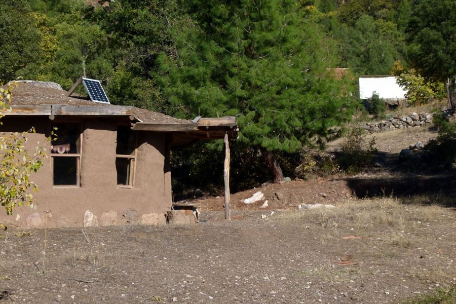 Alakır Vadisi'nde anıt ağaçlar kesiliyor