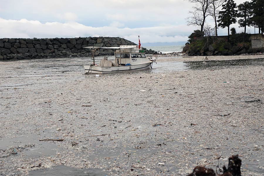 Rize’de deniz yüzeyi çöplerle kaplandı