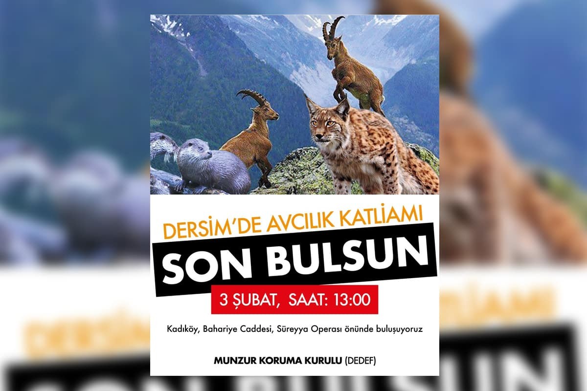 Dersim’de avcılık katliamına karşı eylem çağrısı