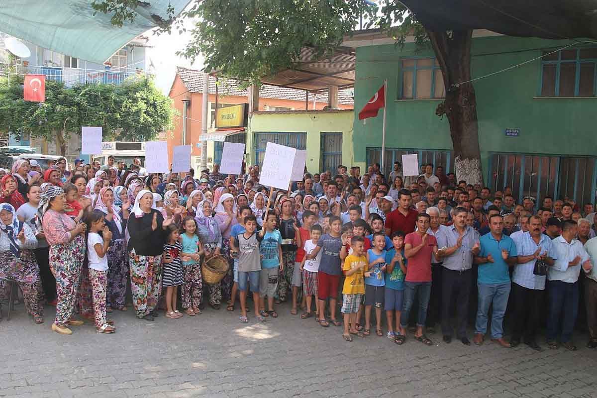 Ekoloji mücadelesi ve seçimlere etkisi: Çevreyi koruyan seçildi