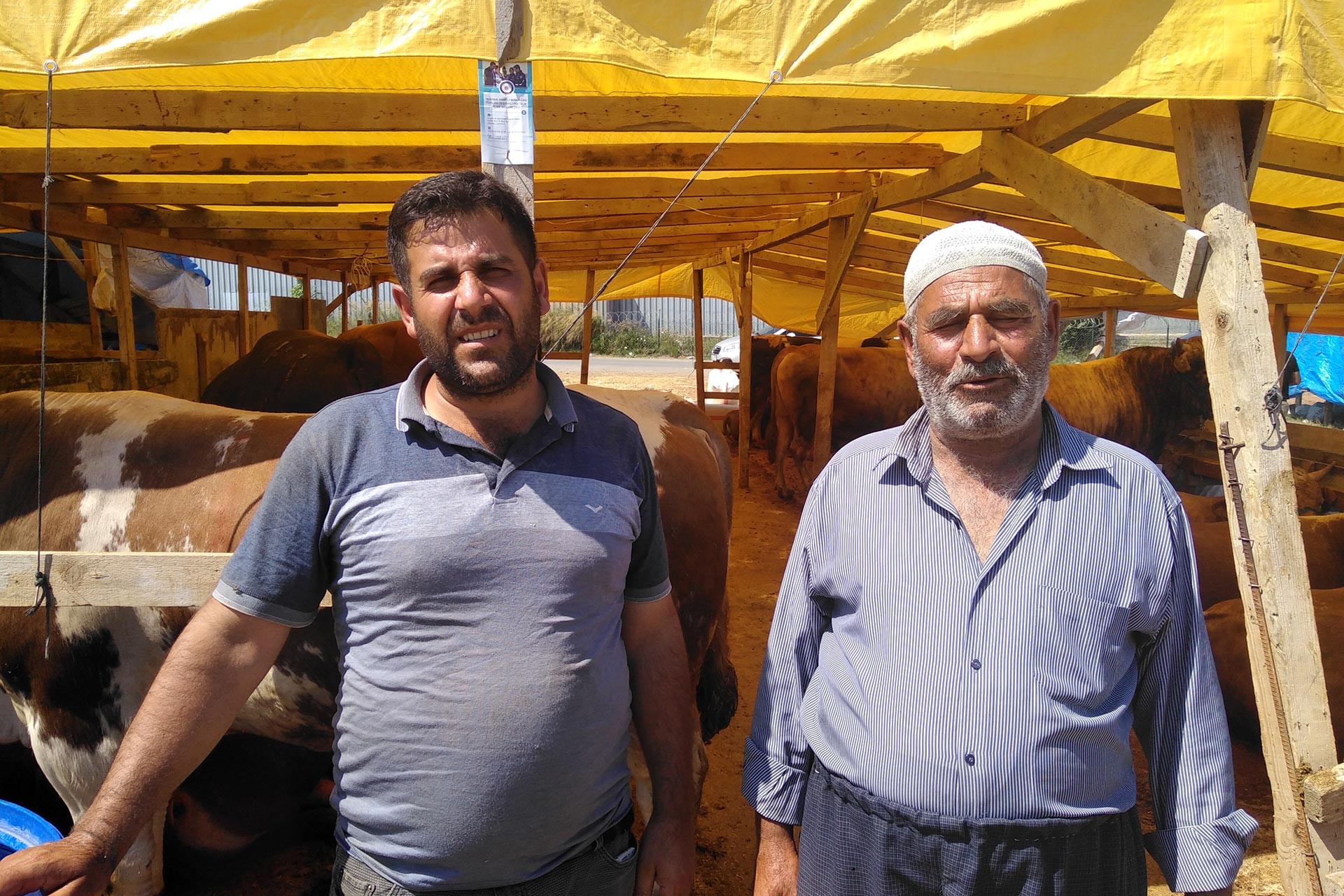 Kurbanlıklar elde kaldı: Maliyetimizi bile kurtaramadık