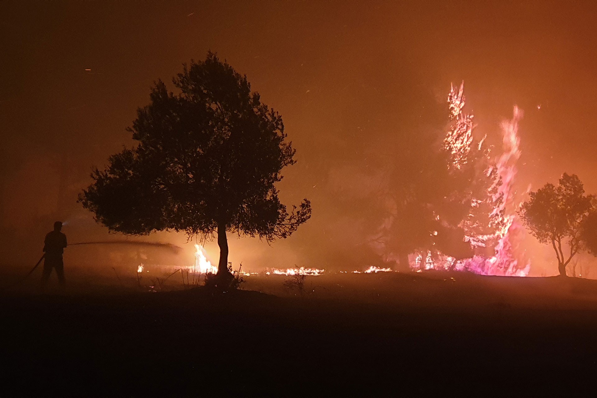 Çanakkale orman yangını