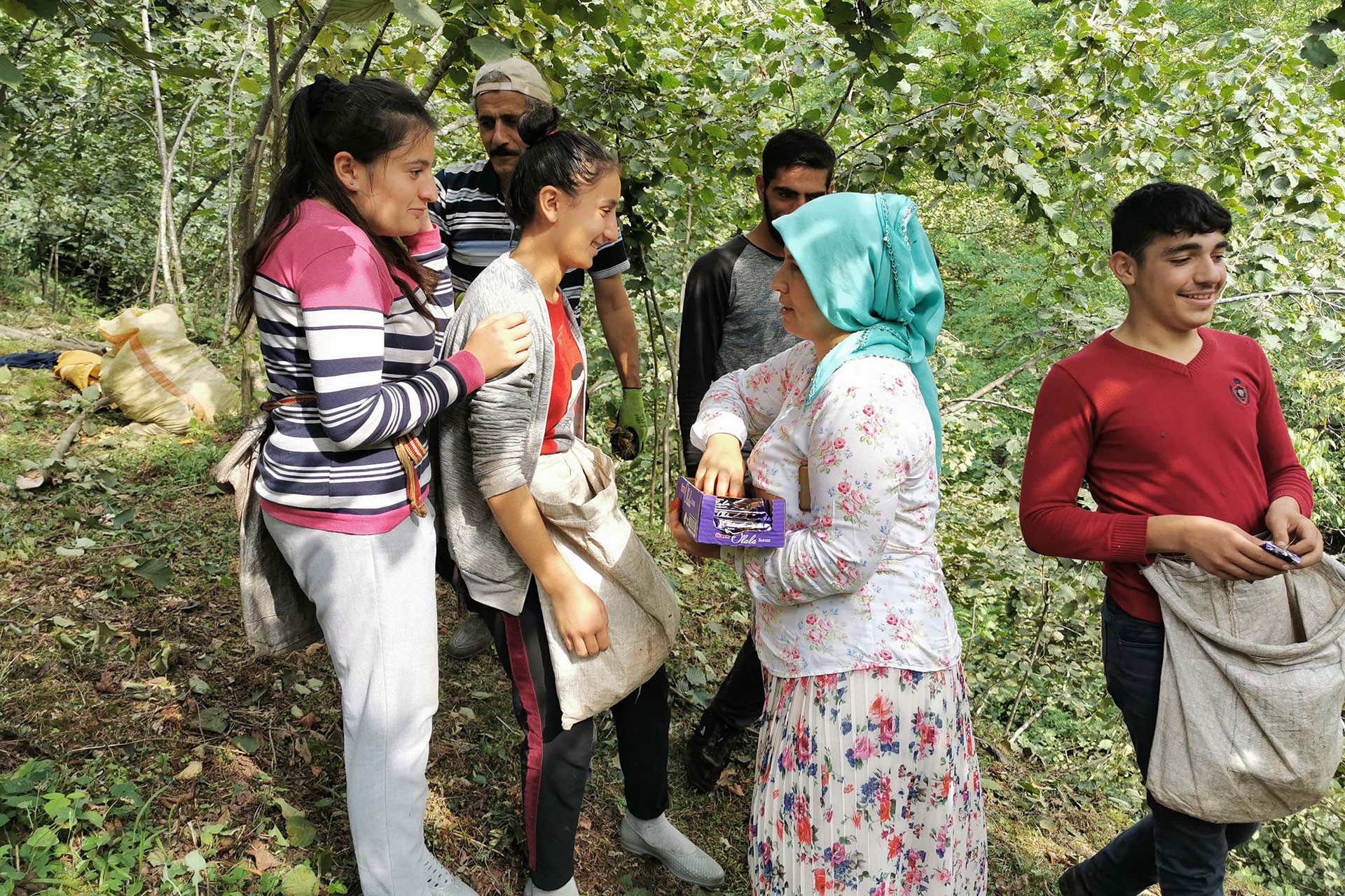 Mevsimlik işçiler bayramı fındık toplayarak geçiriyor