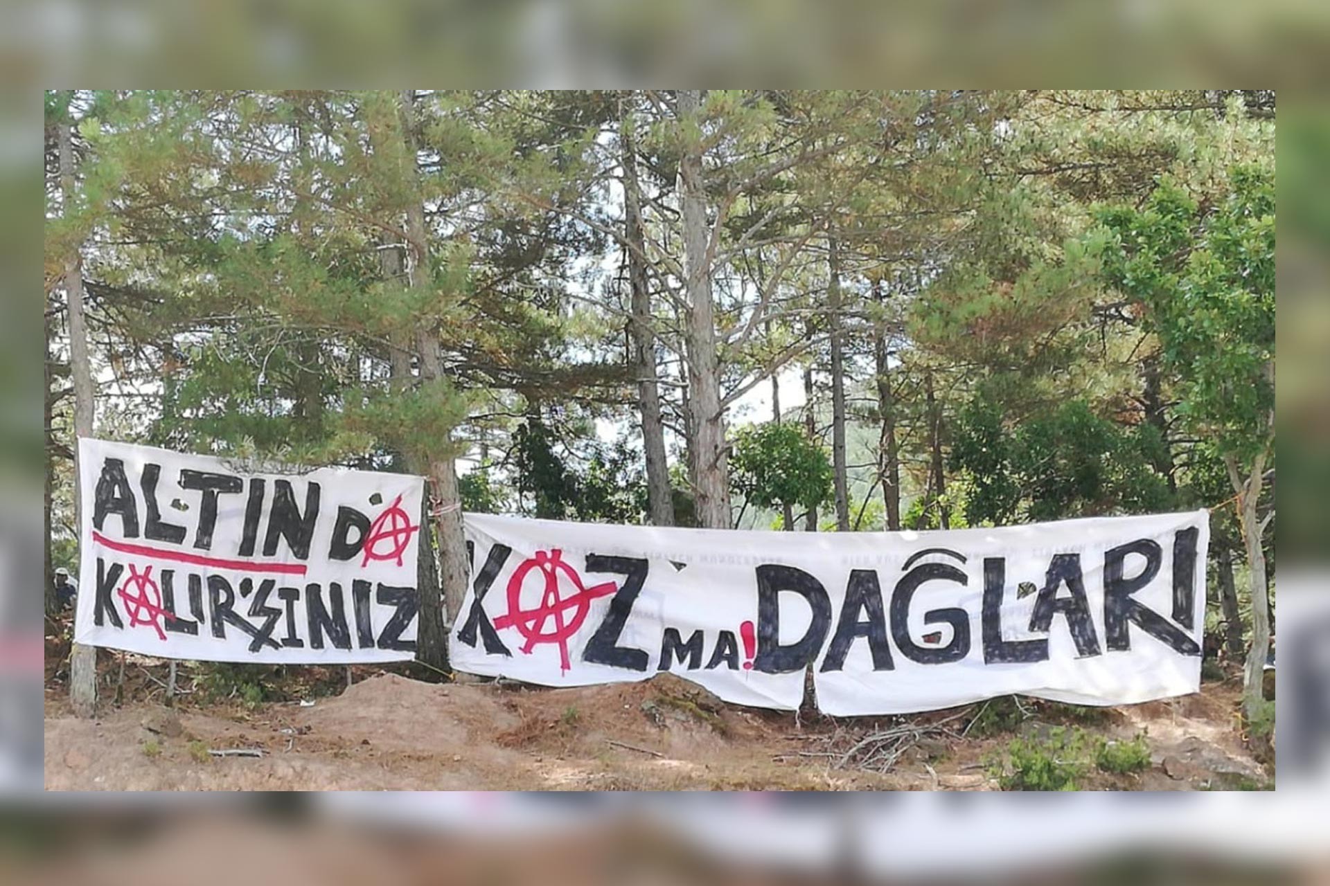 Kaz Dağları’nda doğa, sanat ve insan buluşması