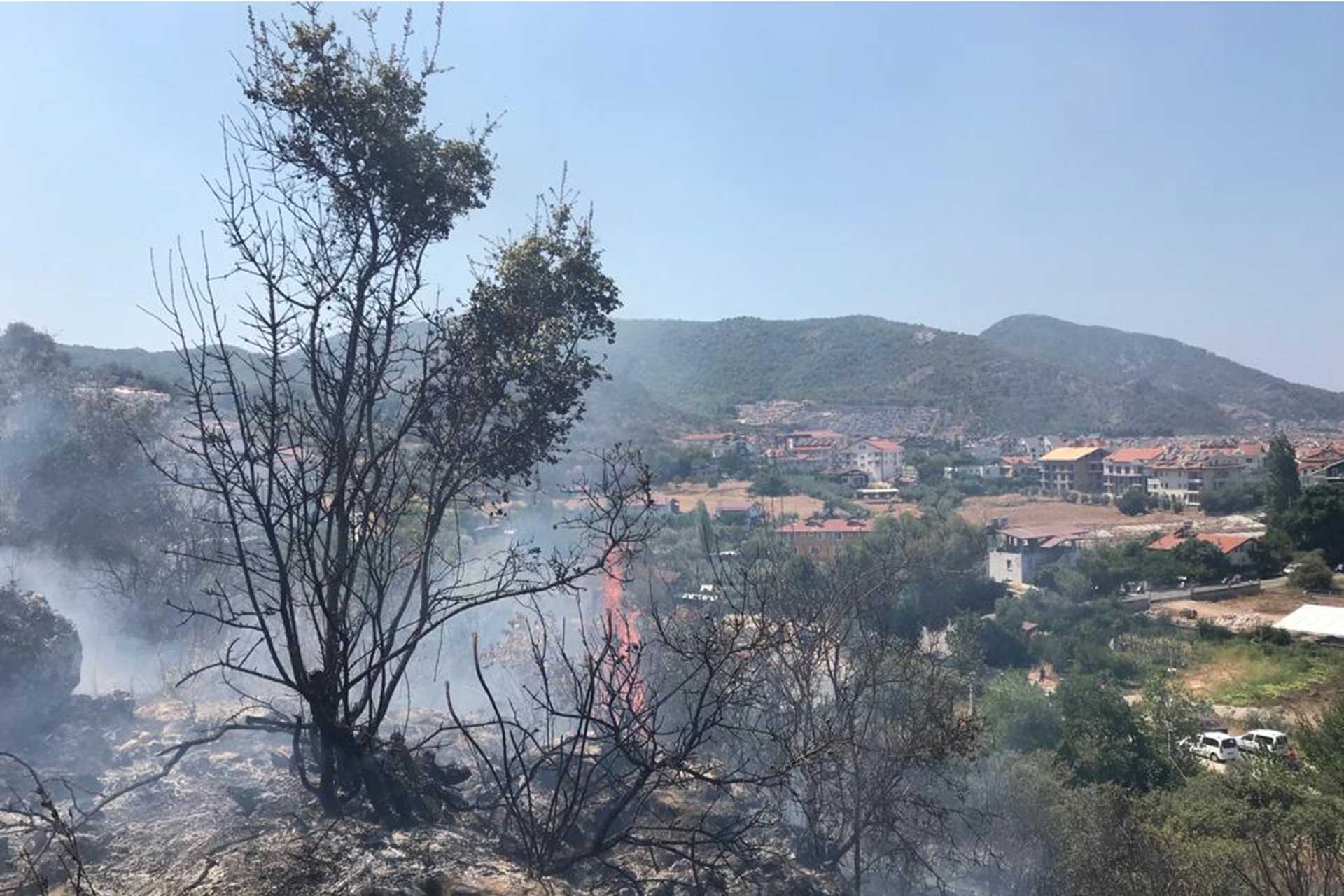 Muğla Fethiye'de orman yangını