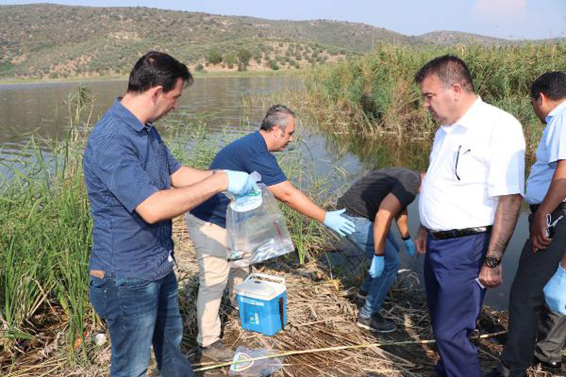 Selçuk'taki balık ölümlerinin araştırılması için gölden numune alındı