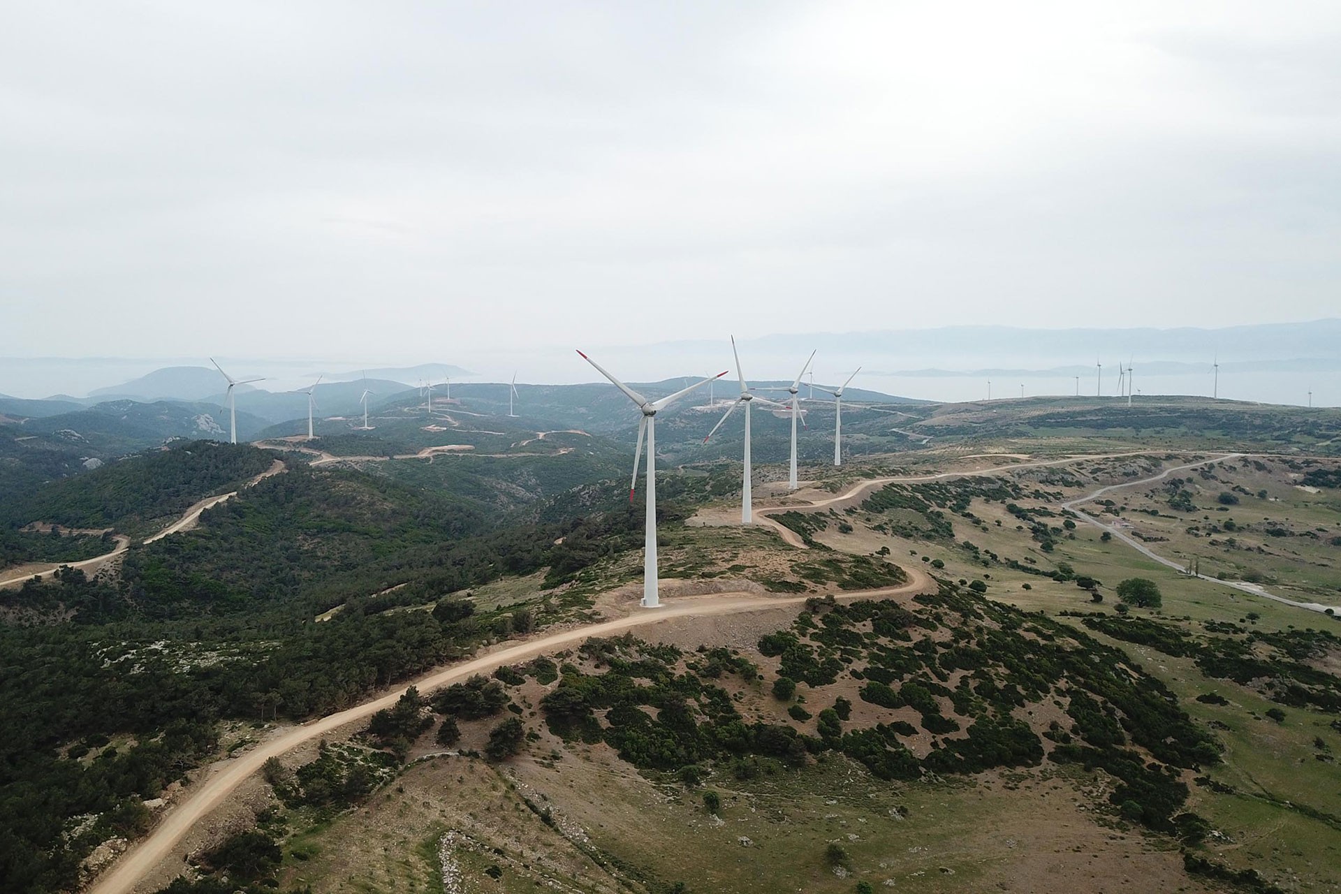 Karaburun'daki RES projesine verilen "ÇED olumlu" kararı 4'üncü kez iptal edildi