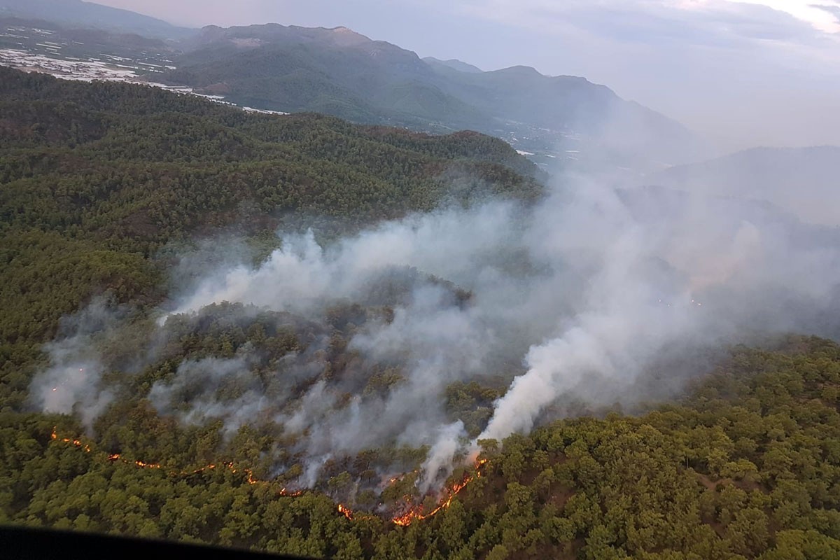 Muğla'nın Ortaca ilçesinde çıkan orman yangını kısmen kontrol altına alındı