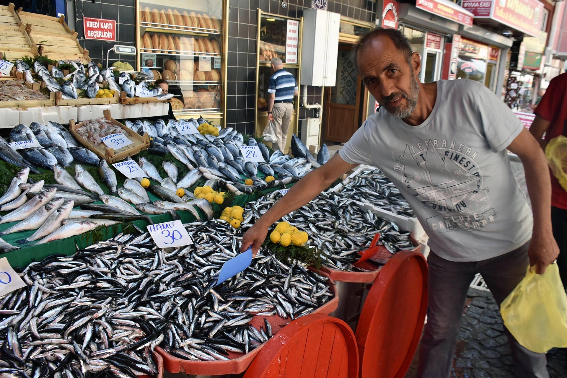 Kilosu 30 liraya çıkan hamsinin yerini sardalya aldı