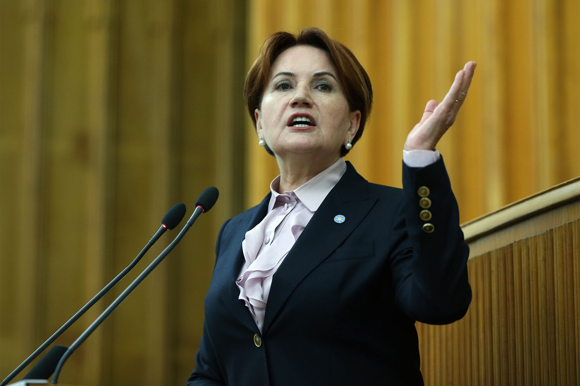 Meral Akşener el artırdı: Güvenli bölge esasen Suriye’nin tamamıdır