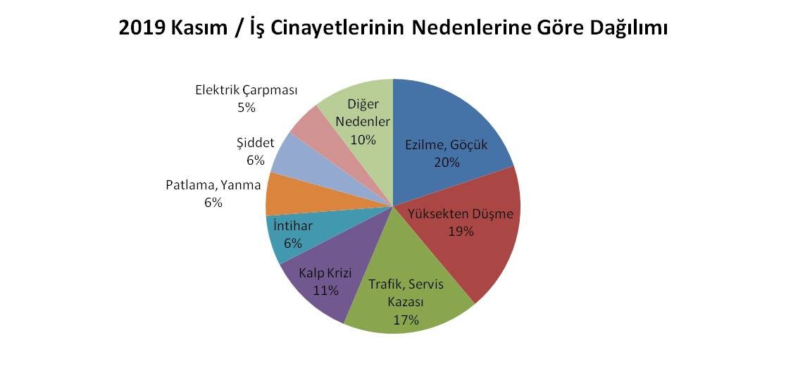 İş cinayetlerinin nedenlerine göre dağılımını gösteren grafik