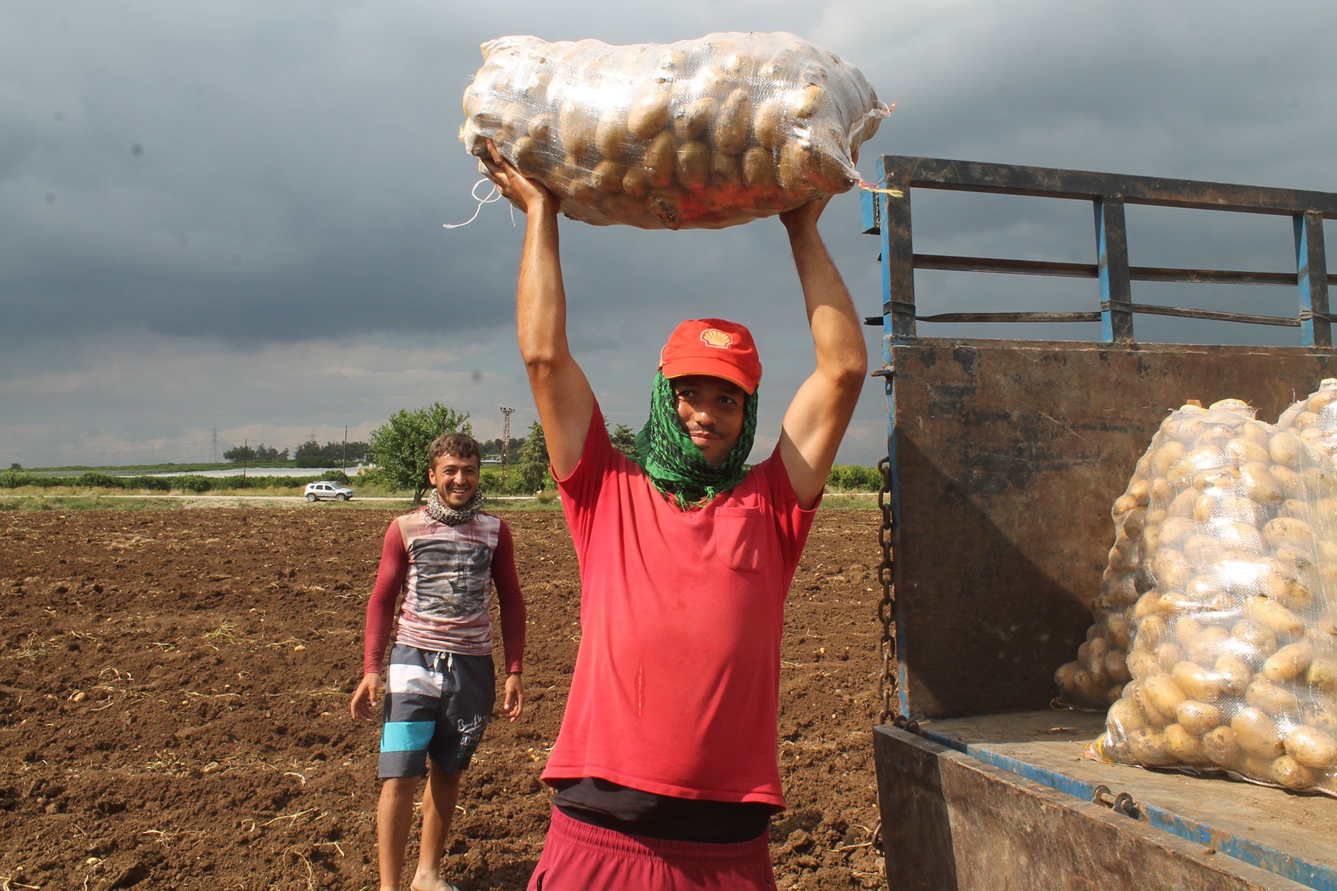 Patates taşıyan tarım işçisi