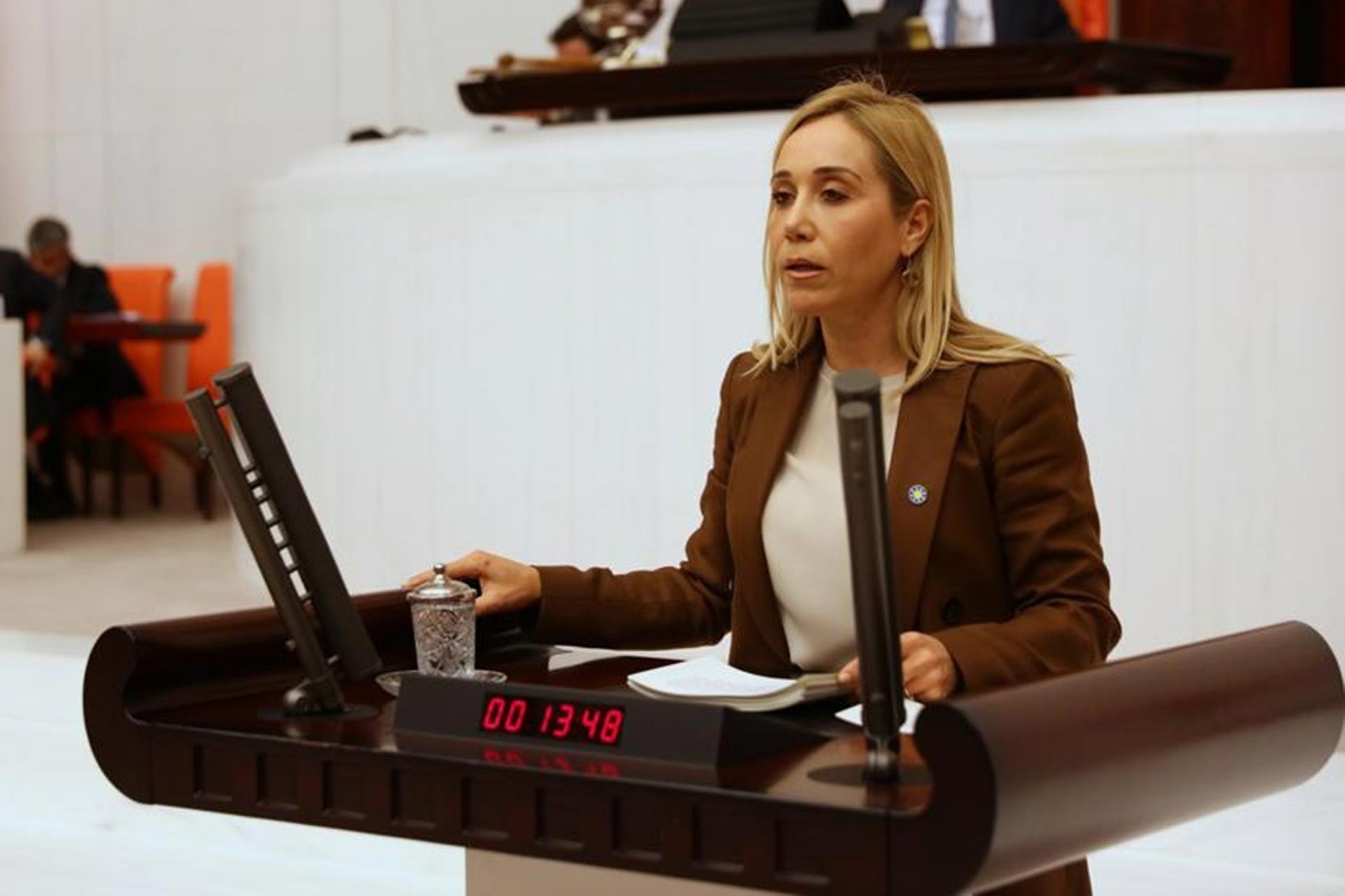 İYİ Parti Milletvekili Dr. Tuba Vural Çokal Meclis kürsüsünde konuşurken