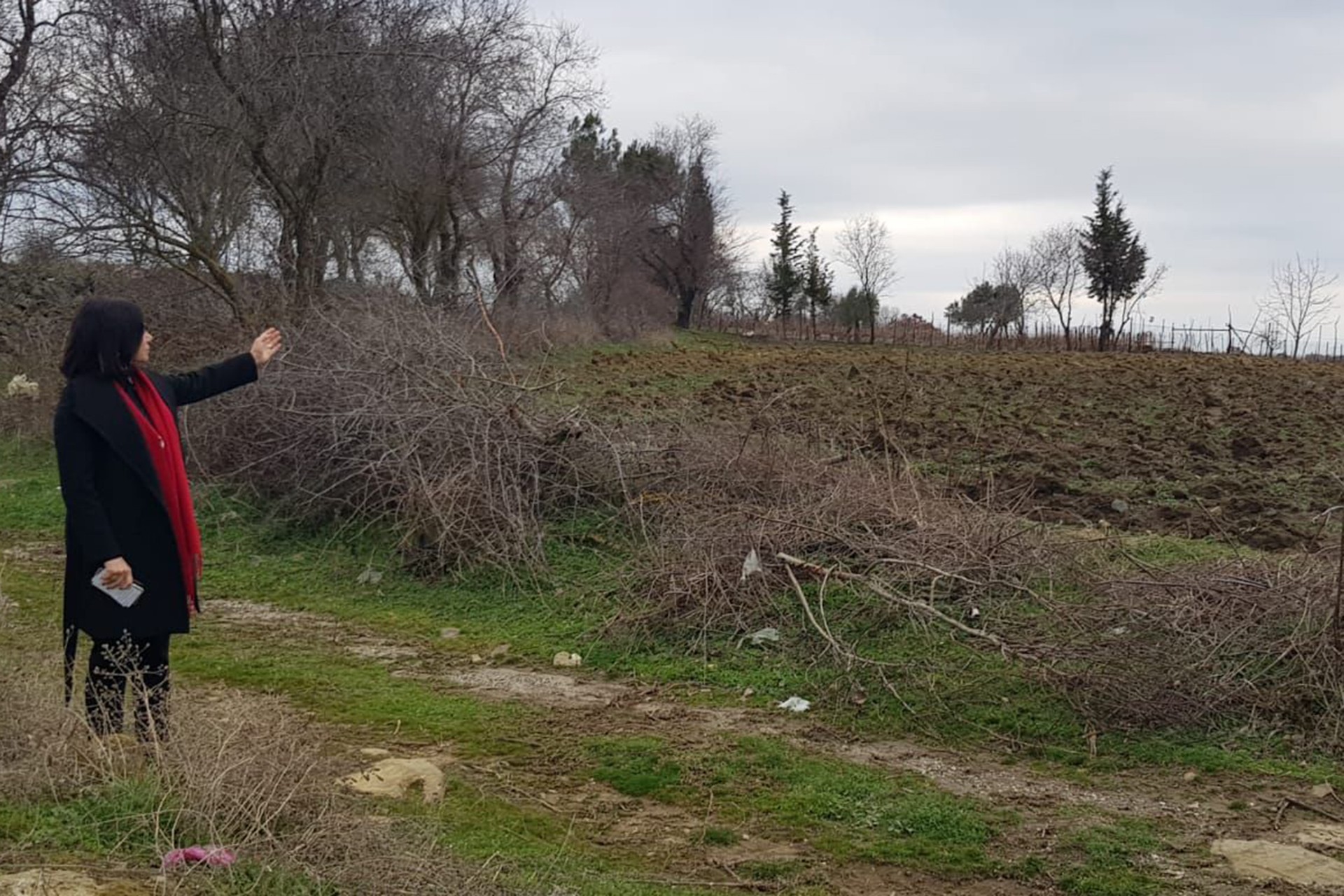 Candan Yüceer inceleme yapıyor