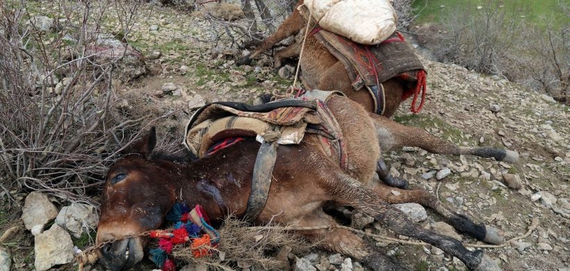 Kanıta ihtiyaç duyan üzgünlük: Roboskî