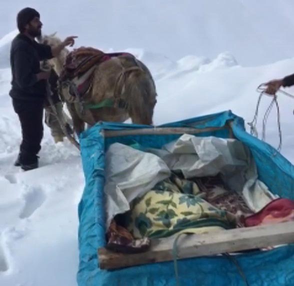 Hakkari'de kalp hastası olan ve rahatsızlanan Zübeyde Kılıçak, atlı kızakla 4 kilometre yol katetmek zorunda kaldı.