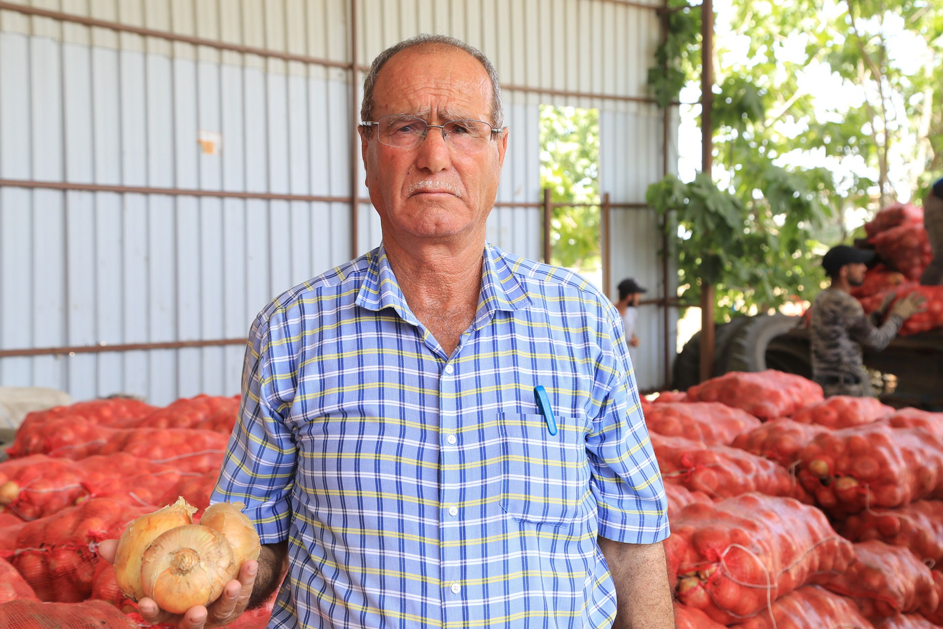 Suratı asık soğan üreticisi elinde 3 büyük soğan tutuyor, arkası soğan çuvalları dolu.