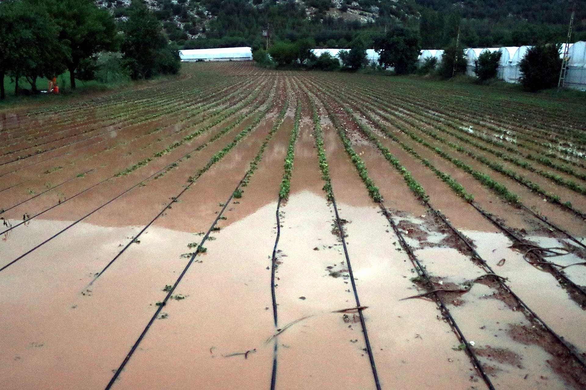 Burdur'da şiddetli yağıştan etkilenen tarım arazisi